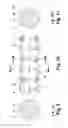 Fig. 06 - TOOTHBRUSH BRISTLE AND METHOD FOR MANUFACTURING SUCH A BRISTLE