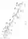 Fig. 07 - METHOD OF ATTACHING AN ELEMENT TO A CONTINUOUSLY MOVING ELONGATED ARTICLE