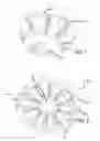 Fig. 06 - Torque-limiting device