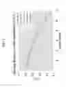 Fig. 02 - Inkjet ink compositions comprising modified pigments