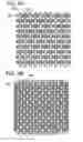 Fig. 06 - PHOTOELECTRIC CONVERSION DEVICE AND METHOD FOR MANUFACTURING THE SAME