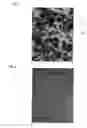 Fig. 02 - Metastable beta-titanium alloys and methods of processing the same by direct aging