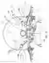 Fig. 09 - Two-wheeled vehicle