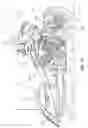Fig. 13 - Two-wheeled vehicle