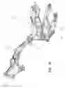 Fig. 18 - Two-wheeled vehicle