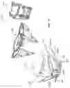 Fig. 40 - Two-wheeled vehicle
