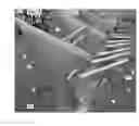 Fig. 06 - Photovoltaic module ground mount