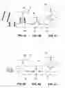 Fig. 06 - Mouthpiece and process for production