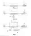 Fig. 02 - Application independent operational controls of a suspended particle device