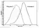 Fig. 01 - Electrically conductive films formed from dispersions comprising conductive polymers and hyperbranched polymers