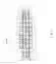 Fig. 07 - Stator mechanism of linear motor