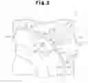 Fig. 03 - Rotor and motor