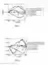 Fig. 02 - Spin valve element driving method and spin valve element