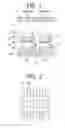Fig. 02 - IMAGE DISPLAY APPARATUS USING ORGANIC EL DEVICE