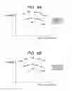 Fig. 07 - IMAGE DISPLAY APPARATUS USING ORGANIC EL DEVICE