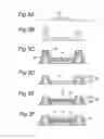 Fig. 06 - Display device and manufacturing method therefor