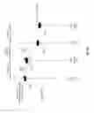 Fig. 07 - Method And System For Motion Compensated Video De-Interlacing