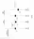 Fig. 09 - Method And System For Motion Compensated Video De-Interlacing