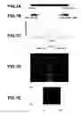 Fig. 08 - Recording medium imaging device and image forming apparatus