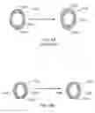 Fig. 05 - Method and apparatus for contact image scanning