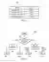 Fig. 09 - Shutter-glass eyewear control