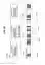 Fig. 09 - Recording medium having data structure for managing reproduction of multiple audio streams recorded thereon and recording and reproducing methods and apparatuses