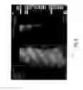 Fig. 09 - System for medical image display and image filter selection