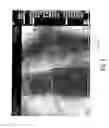 Fig. 10 - System for medical image display and image filter selection