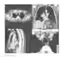 Fig. 01 - Medical image reporting system and method