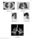 Fig. 22 - Medical image reporting system and method