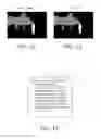 Fig. 09 - Image encoding method for stereoscopic rendering