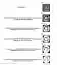 Fig. 01 - Multi-scale representation of an out of focus image