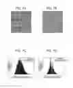 Fig. 08 - Recording-medium imaging device and image forming apparatus