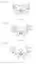 Fig. 05 - Image forming apparatus having plurality of image transfer units with stable image transfers
