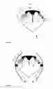 Fig. 04 - RING WING-TYPE ACTINIC FLUID DRIVE