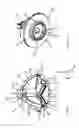 Fig. 02 - Dynamic pump wheel for a pump and a pump device comprising a dynamic pump wheel