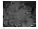 Fig. 01 - CARBON-CONTAINING MATRIX WITH FUNCTIONALIZED PORES