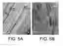 Fig. 06 - CARBON-CONTAINING MATRIX WITH FUNCTIONALIZED PORES