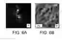 Fig. 07 - CARBON-CONTAINING MATRIX WITH FUNCTIONALIZED PORES