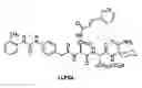 Fig. 01 - Heterocyclic ligands for integrin imaging and therapy