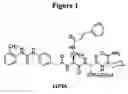 Fig. 02 - Heterocyclic ligands for integrin imaging and therapy