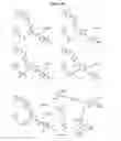Fig. 06 - Heterocyclic ligands for integrin imaging and therapy