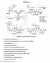 Fig. 07 - Heterocyclic ligands for integrin imaging and therapy