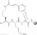 Fig. 35 - Heterocyclic ligands for integrin imaging and therapy