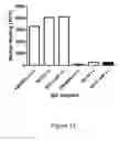 Fig. 22 - Antibodies