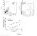 Fig. 33 - Antibodies