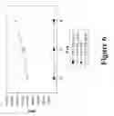 Fig. 07 - IMMUNOMODULATORY POLYMERIC ANTIGENS FOR TREATING INFLAMMATORY PATHOLOGIES