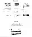 Fig. 06 - Compositions and methods for cancer treatment