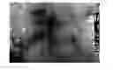 Fig. 01 - Novel Polypeptides Having Endolysin Activity and Uses Thereof