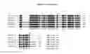 Fig. 07 - Novel Polypeptides Having Endolysin Activity and Uses Thereof